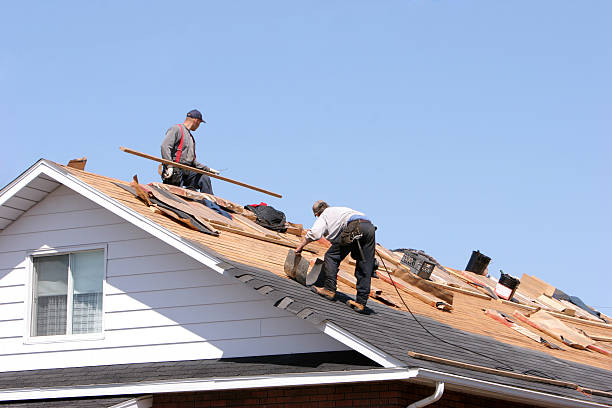 Best Solar Panel Roofing Installation  in Vinita, OK